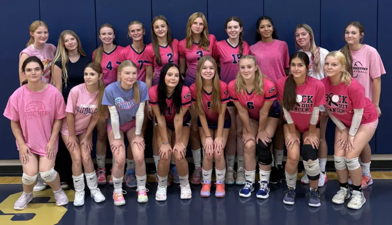 Falconer volleyball hosting "Pink Out" match on Tuesday
